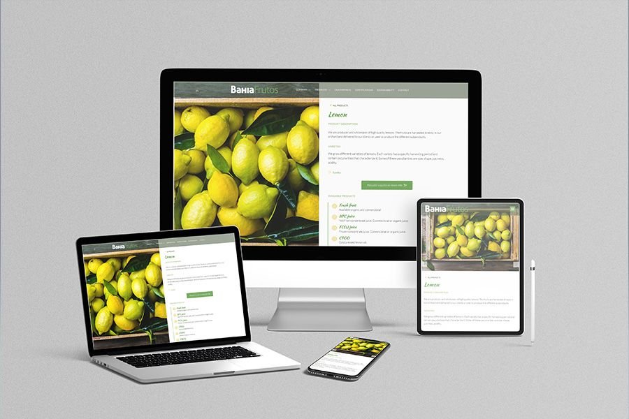 Web design for Bahia Frutos